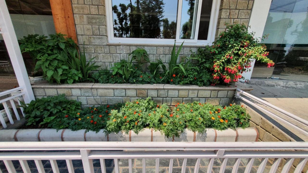 Nomadic Inn Dharamshala Luaran gambar