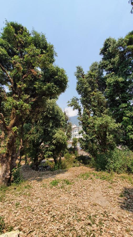 Nomadic Inn Dharamshala Luaran gambar